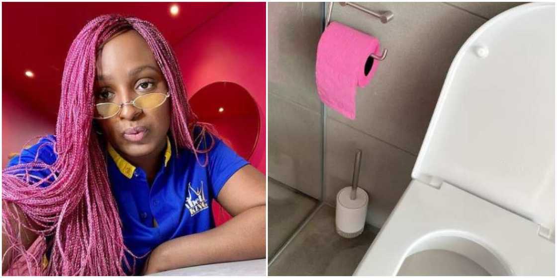 Billionaire daughter DJ Cuppy shows off pink toilet paper Billionaire daughter DJ Cuppy shows off pink toilet paper