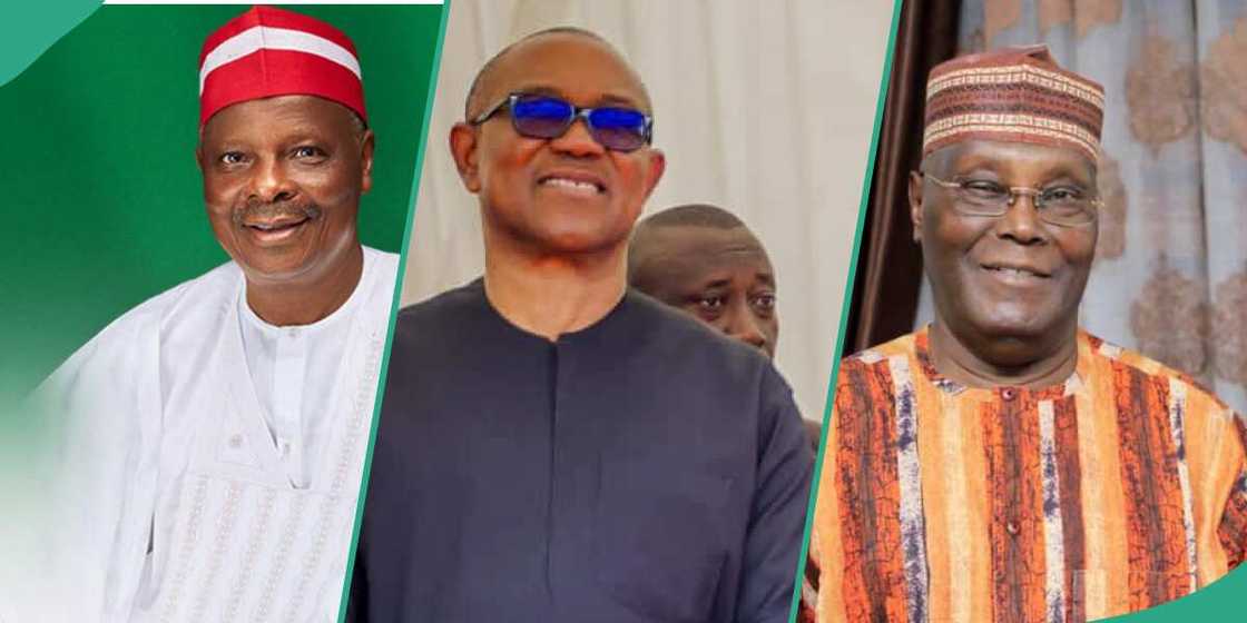 NNPP/Labour Party news today/PDP news NNPP/Labour Party news today/PDP news