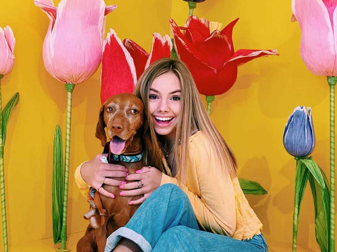 Alex French's biography Alex French's biography