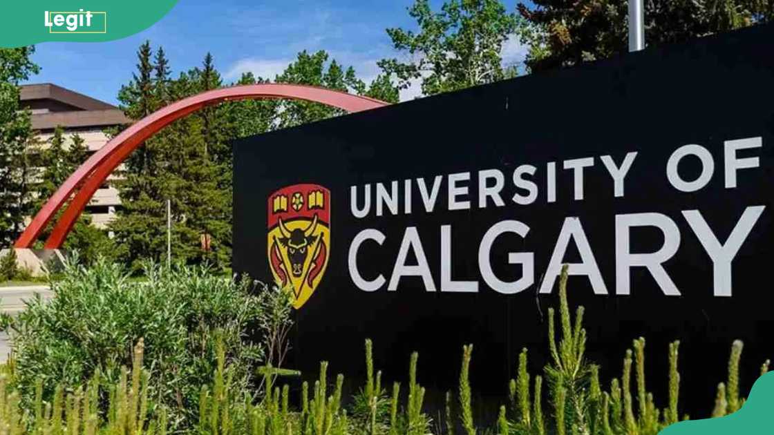 University of Calgary Graduate Awards