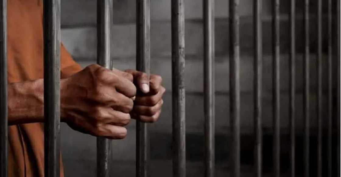 Gidan Gyaran Hali Gidan Gyaran Hali