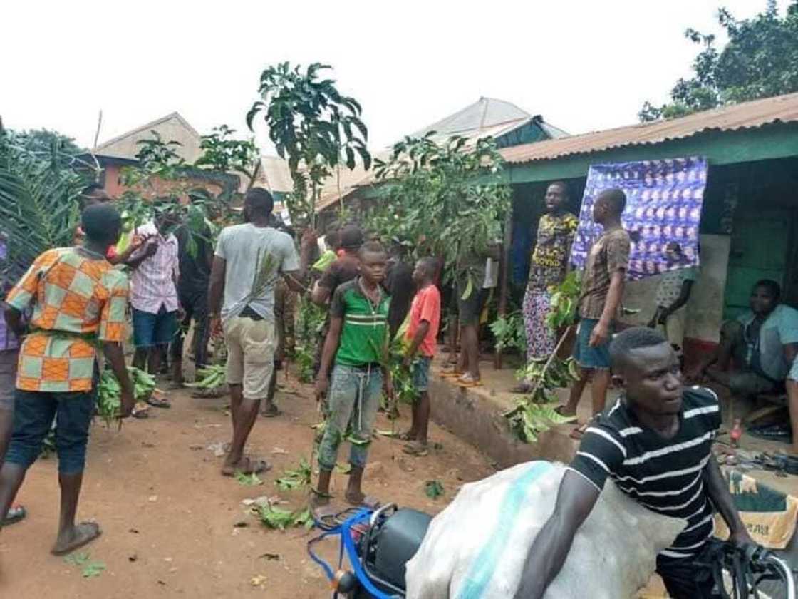 A dawo mana da mazakutarmu: Hotunan fusatattun matasa suna zanga-zanga a Benue A dawo mana da mazakutarmu: Hotunan fusatattun matasa suna zanga-zanga a Benue