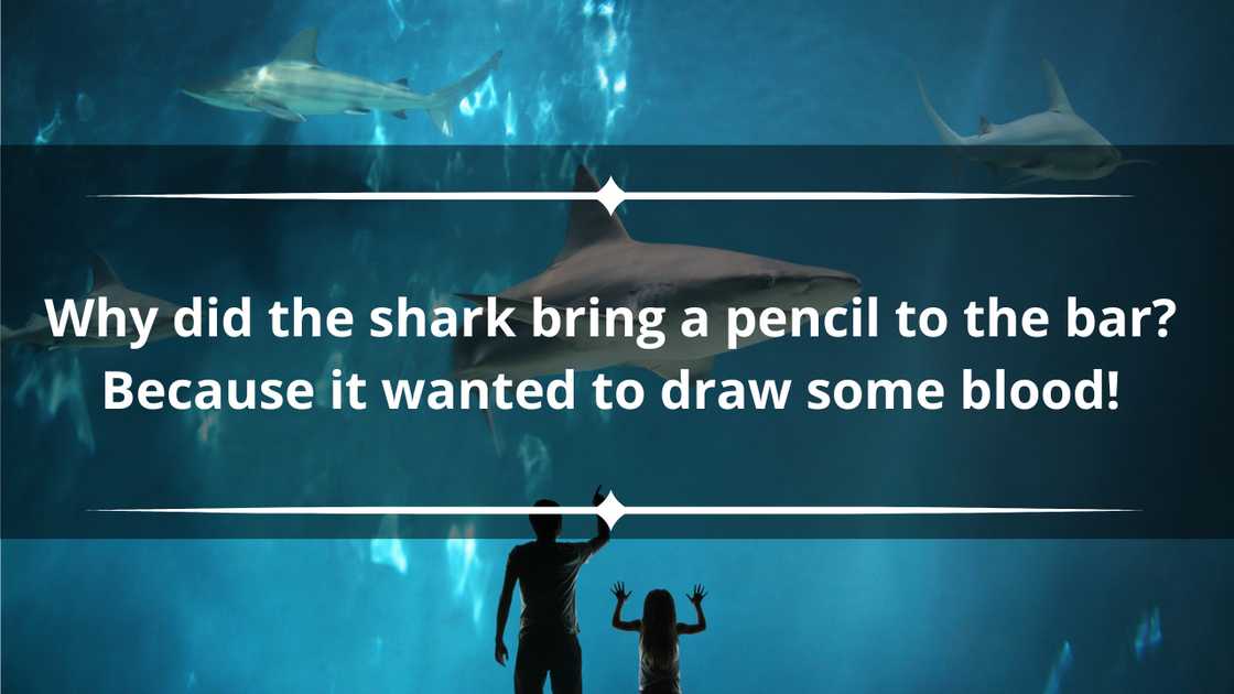 Shark jokes for adults