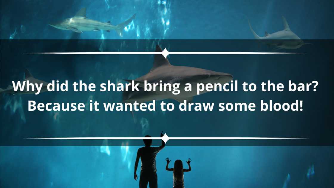 Shark jokes for adults Shark jokes for adults