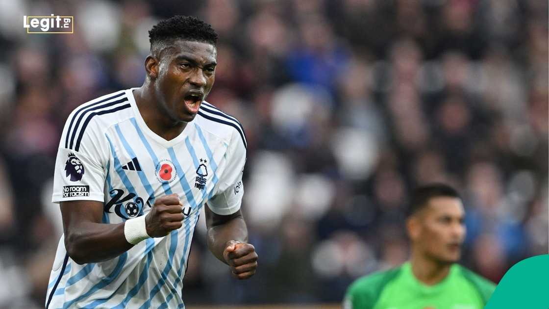 Super Eagles, Nigeria, Taiwo Awoniyi, Eric Chelle, AFCON, Morocco, Football. Super Eagles, Nigeria, Taiwo Awoniyi, Eric Chelle, AFCON, Morocco, Football.