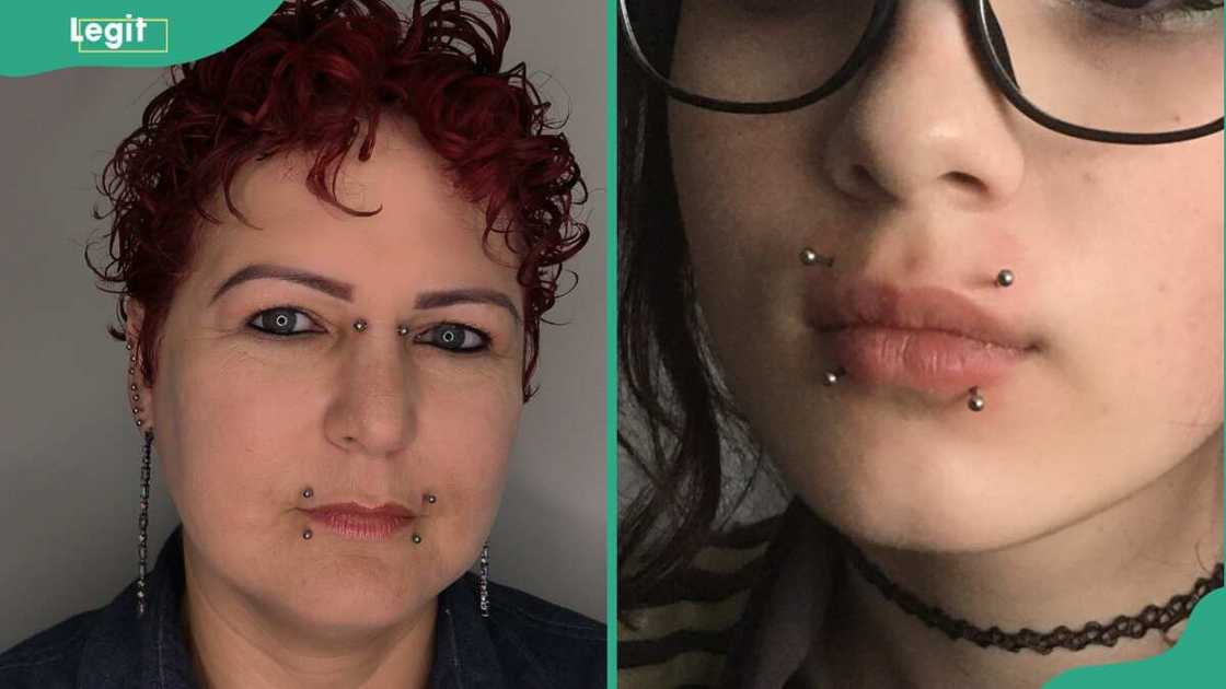 Canine bites lip piercing Canine bites lip piercing