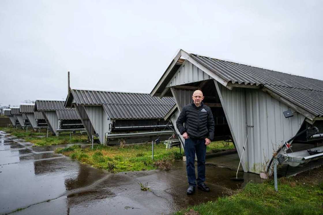 Poul Erik Vestergaard started breeding minks after buying his father's farm in 1986 Poul Erik Vestergaard started breeding minks after buying his father's farm in 1986