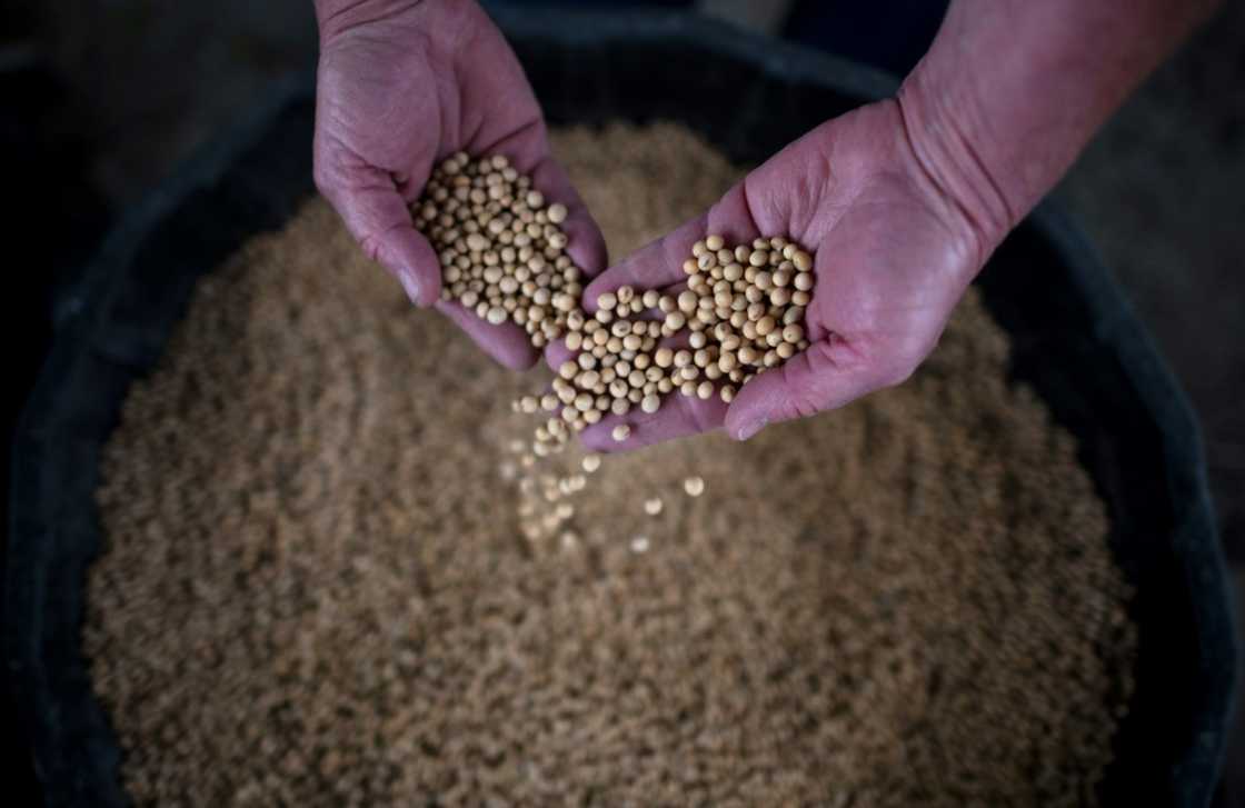 Farmers worry that China's retaliatory tariffs on American goods will reduce incentives to purchase US agricultural products Farmers worry that China's retaliatory tariffs on American goods will reduce incentives to purchase US agricultural products