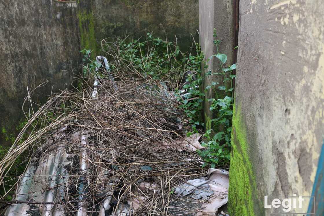 How open defecation undermines children’s right to education in Nigeria How open defecation undermines children’s right to education in Nigeria