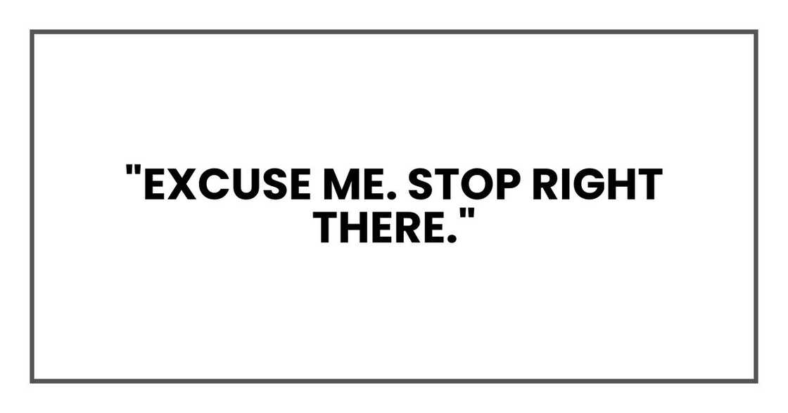 "Excuse me. Stop right there,"