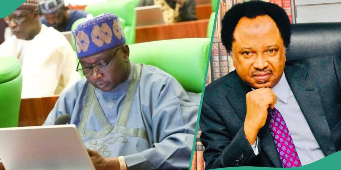 Shehu Sani ya yi martani ga Doguwa kan tsarin cin zabe