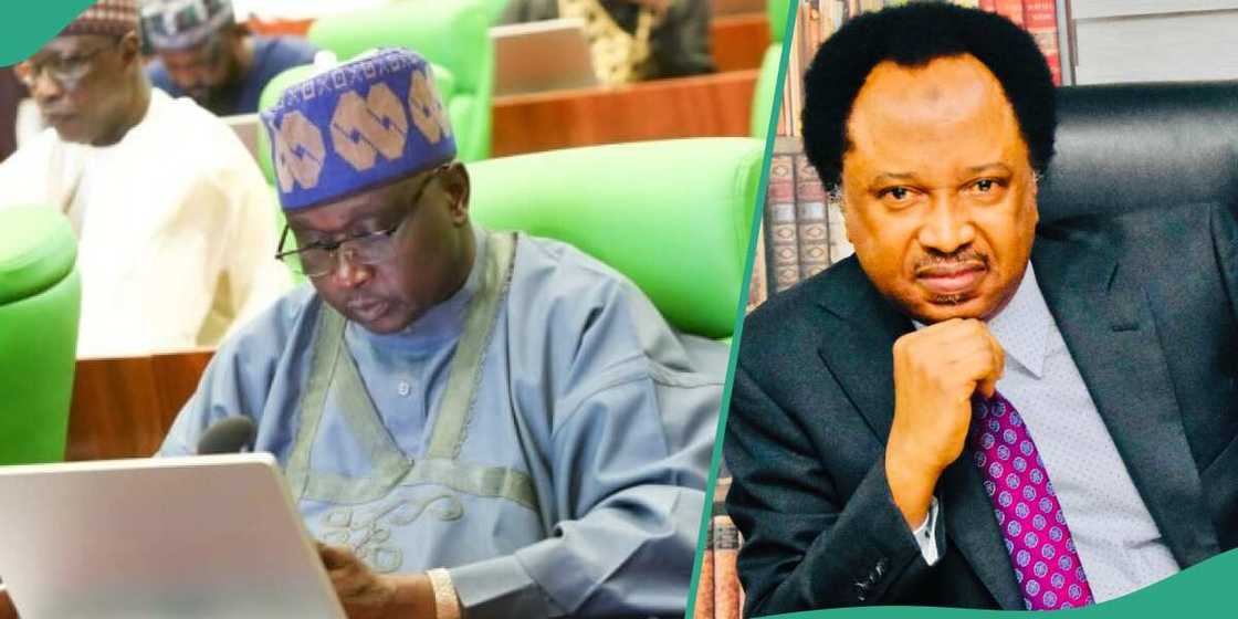 Shehu Sani ya yi martani ga Doguwa kan tsarin cin zabe Shehu Sani ya yi martani ga Doguwa kan tsarin cin zabe