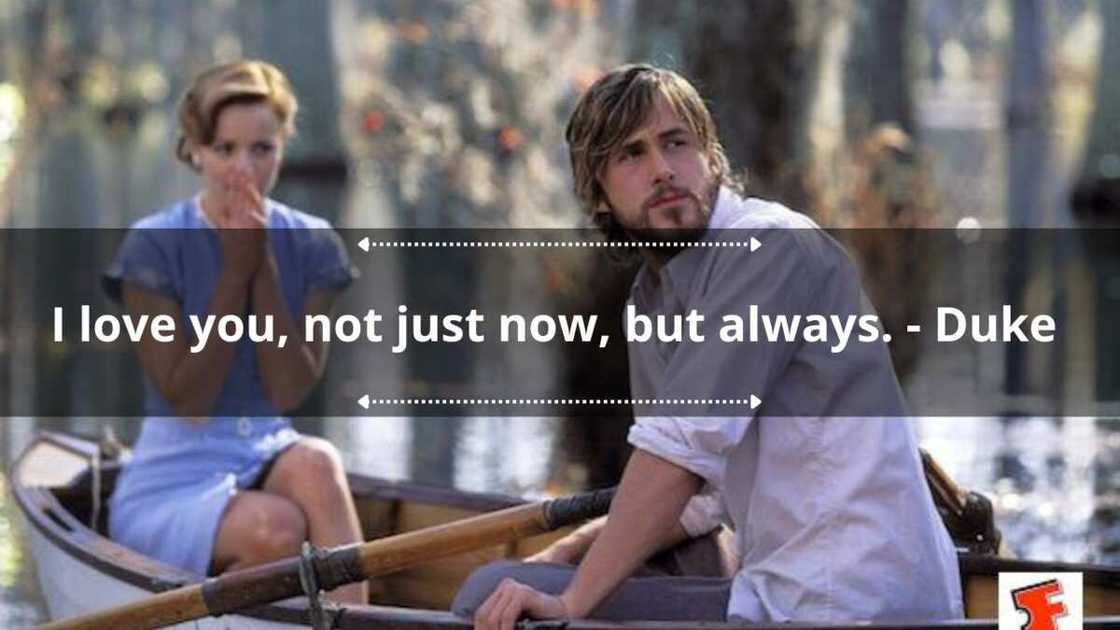 Noah From The Notebook Quotes The Notebook: 7+ Thoughts I Had While