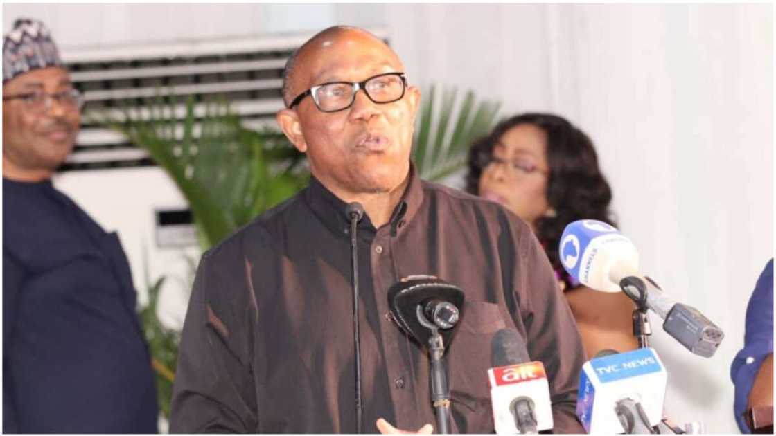 Peter Obi/Labour Party/2023 Election/Southeast