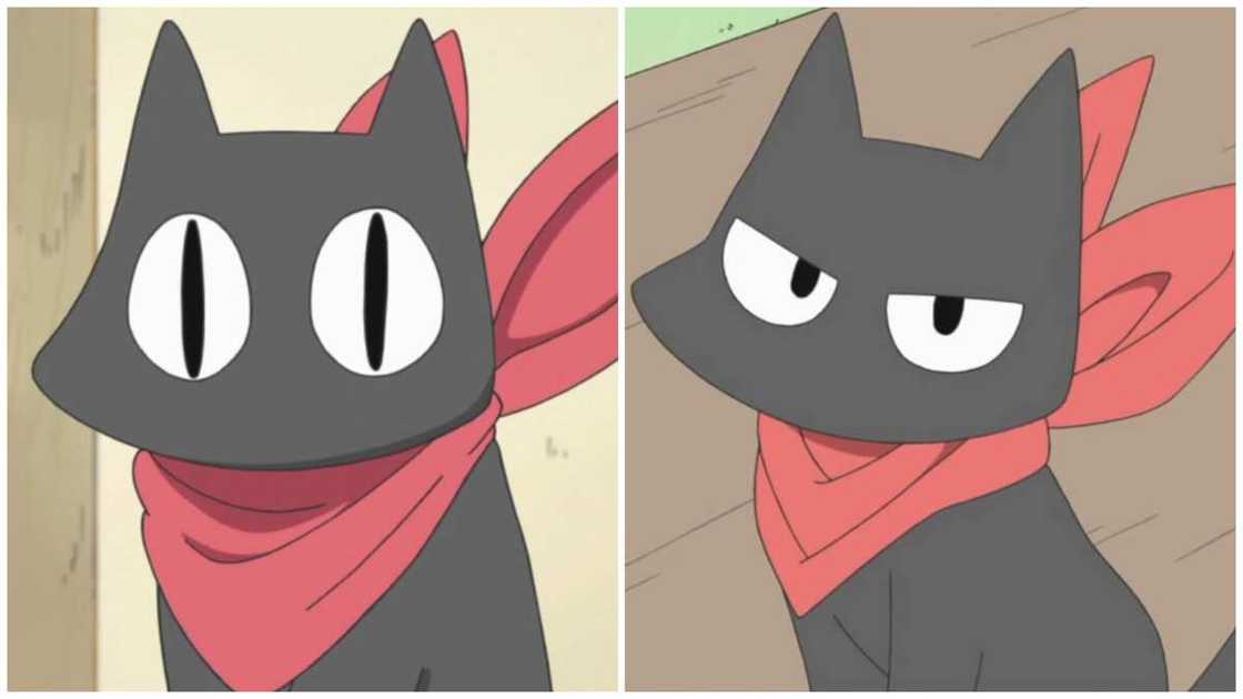 famous anime cats famous anime cats
