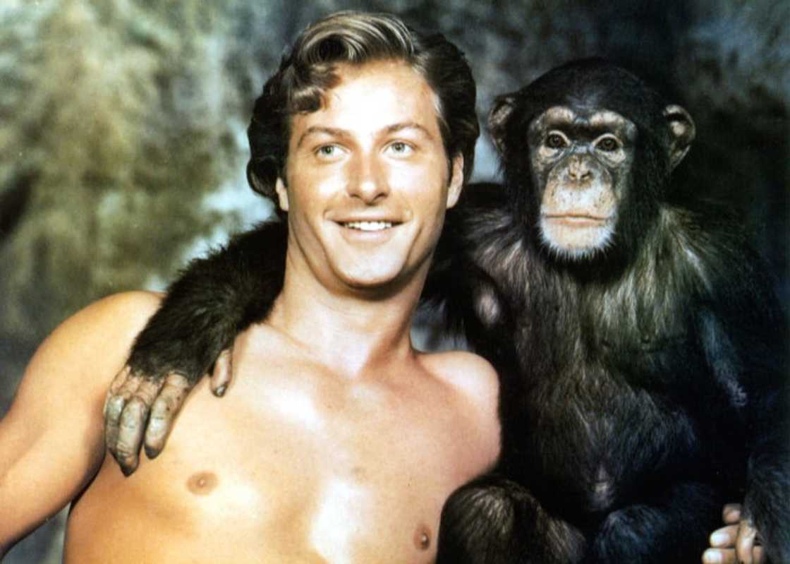 Lex Barker with Cheetah the Chimpanzee