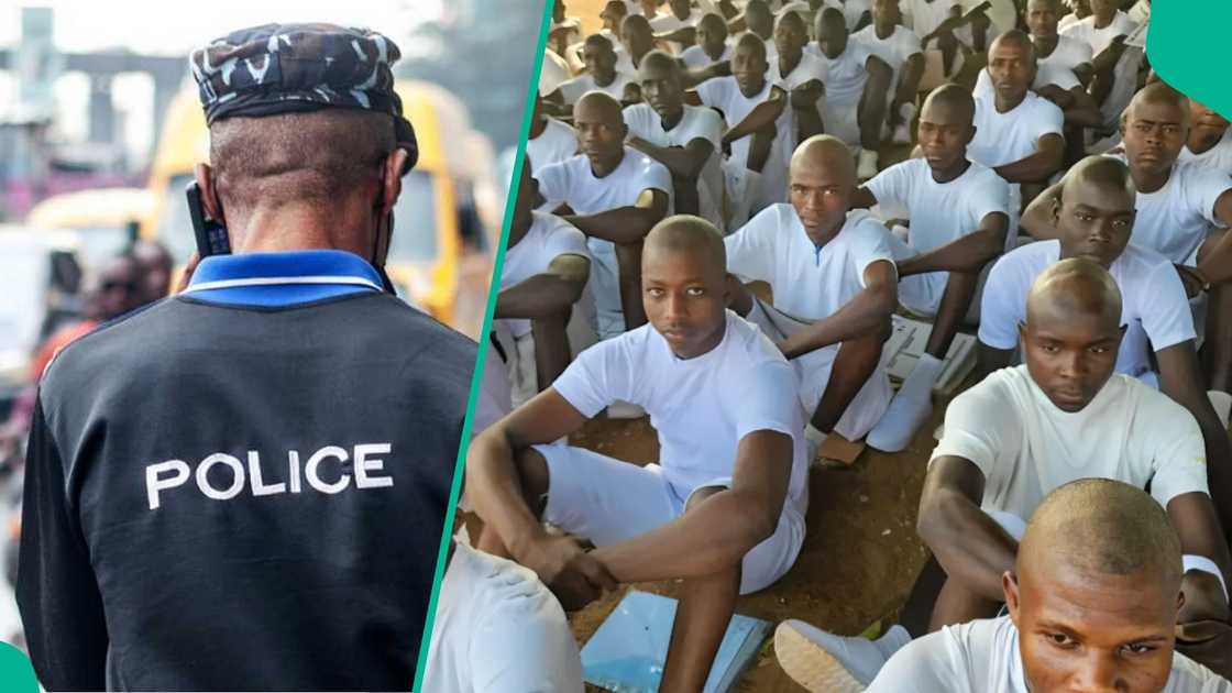 Two applicants are arrested for certificate forgery during a screening exercise in Bauchi. Two applicants are arrested for certificate forgery during a screening exercise in Bauchi.