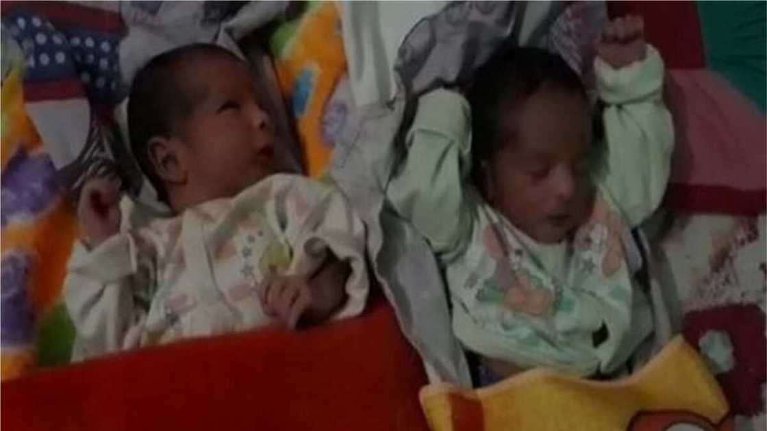 A picture of the newborn twins. Photo source: Gulf News A picture of the newborn twins. Photo source: Gulf News