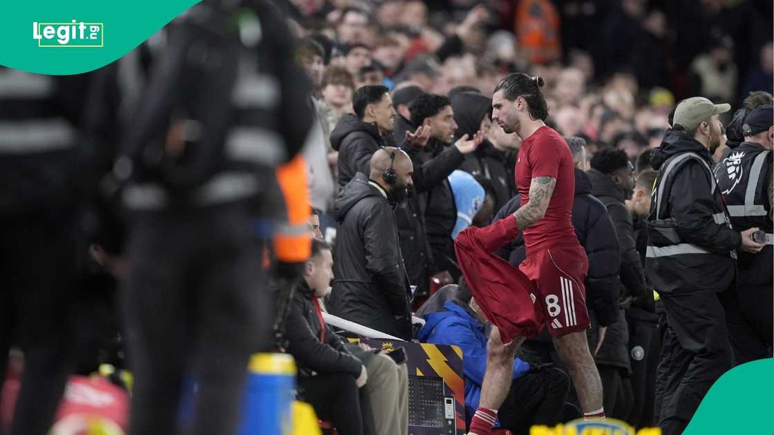 Dominik Szoboszlai, Manchester City, Erling Haaland, Liverpool, England, Premier League.