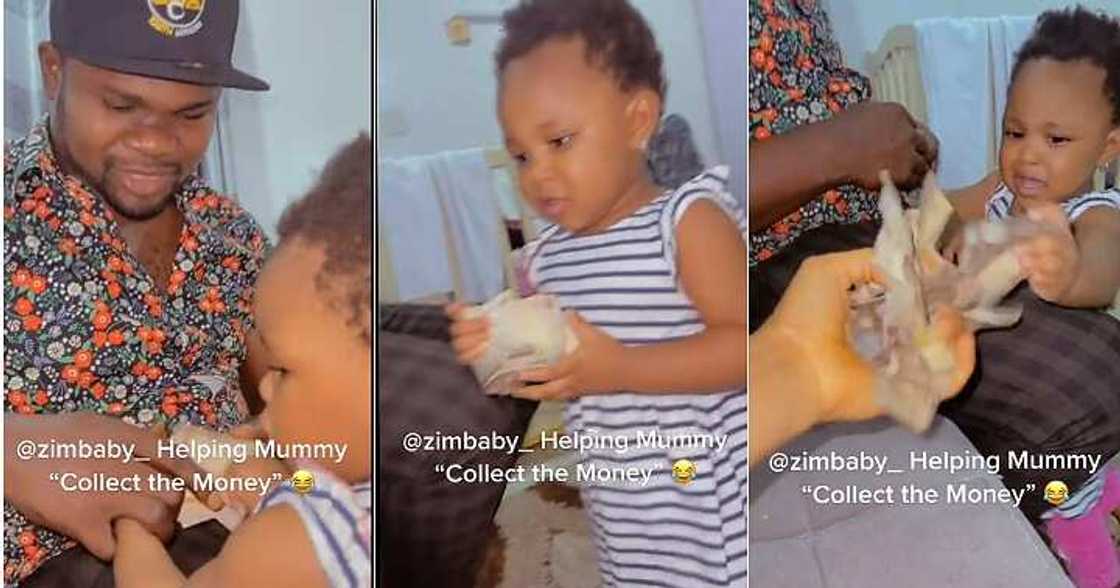 Little girl takes money from dad, gives everything to mum, funny video Little girl takes money from dad, gives everything to mum, funny video