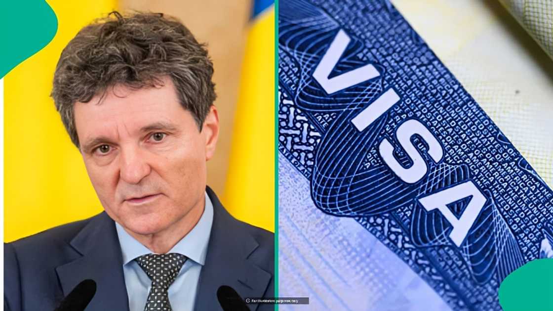 Romania launches D/AM1 work visa for citizens of 3 countries Romania launches D/AM1 work visa for citizens of 3 countries