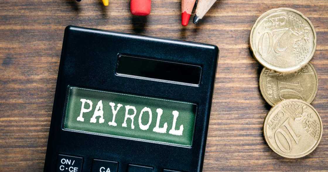 Is Bujeti Payroll Launch a Threat to Africa's HR Startups?