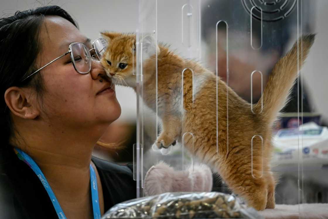 China's pet industry is flourishing, even as low consumption is plaguing the world's second-biggest economy