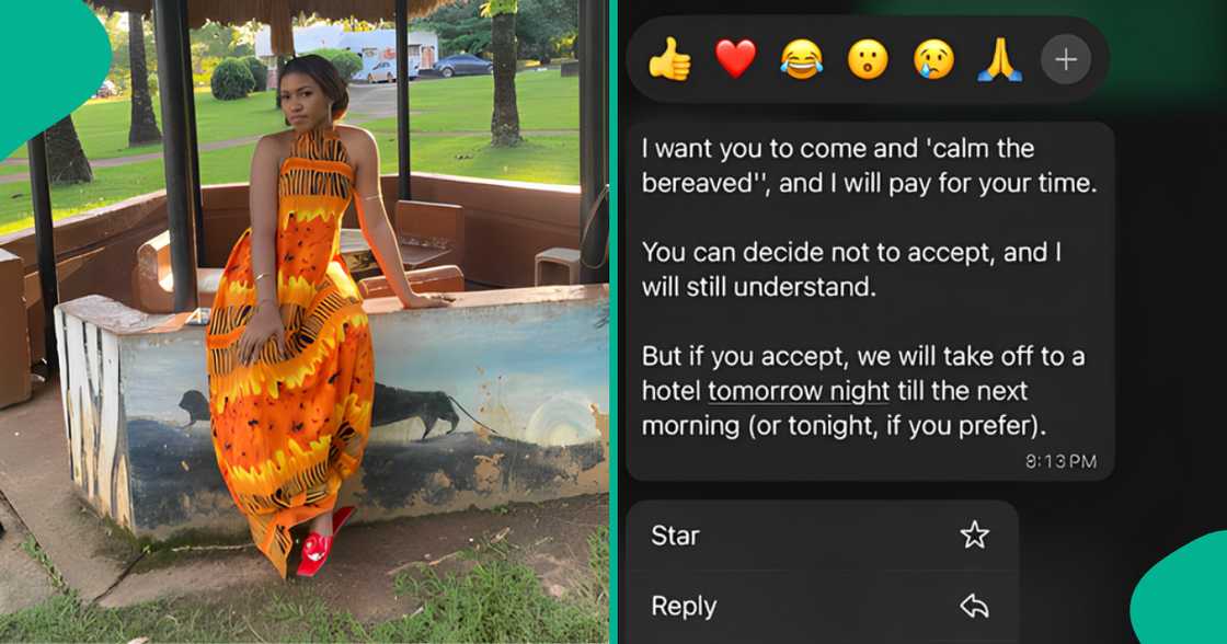 Reactions as virtual assistant resigns from work, shows message boss sent her which caused it