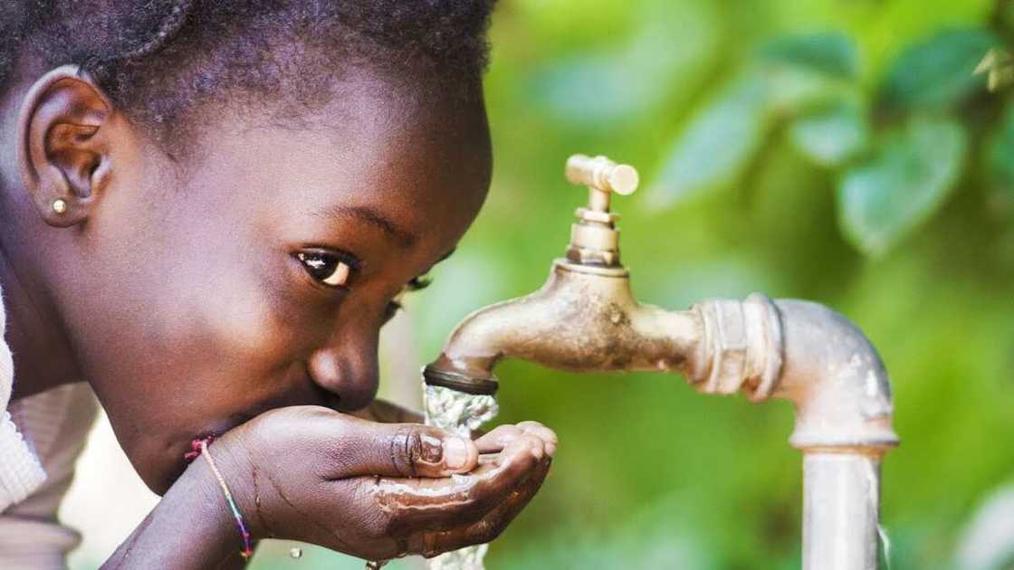 10 points on importance of water 10 points on importance of water