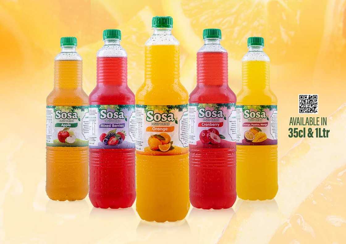 Rite Foods Ltd Expands Product Portfolio, Launches Sosa Fruit Drink