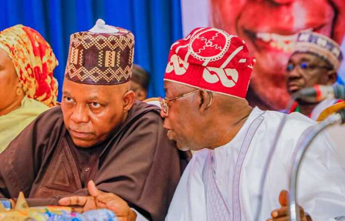 Bola Tinubu/Kashim Shettima/APC/2023 Election/INEC/Muslim-Muslim Ticket/June 12/MKO Abiola/1993 election Bola Tinubu/Kashim Shettima/APC/2023 Election/INEC/Muslim-Muslim Ticket/June 12/MKO Abiola/1993 election