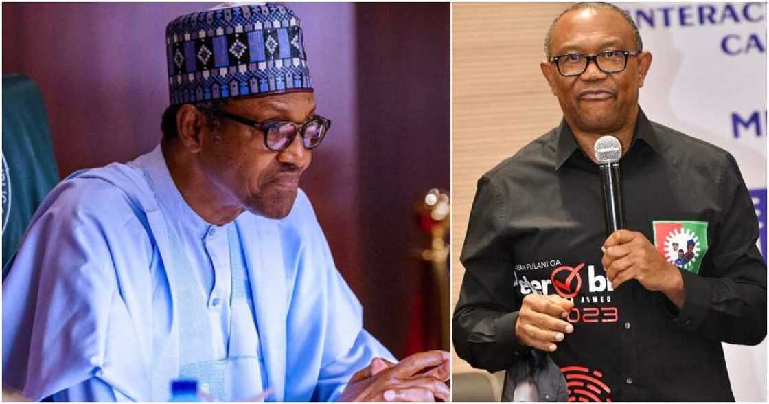 Peter Obi, Muhammadu Buhari, 2023 polls, Labour Party, UK immigration