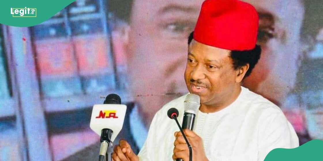Shehu Sani/Kano Guber Appeal Shehu Sani/Kano Guber Appeal