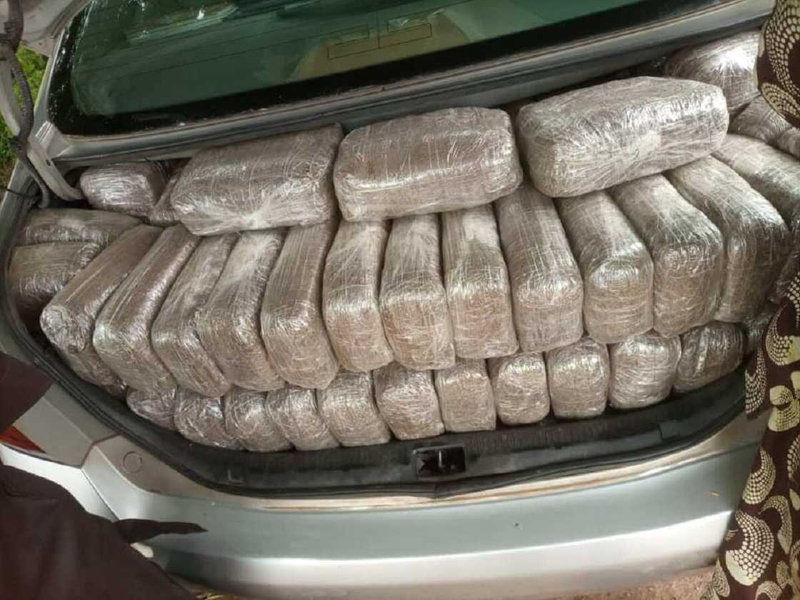 Hotunan tsohon soja mai shekaru 60 da wani da aka kama da wiwi na N7.5m a Kaduna Hotunan tsohon soja mai shekaru 60 da wani da aka kama da wiwi na N7.5m a Kaduna