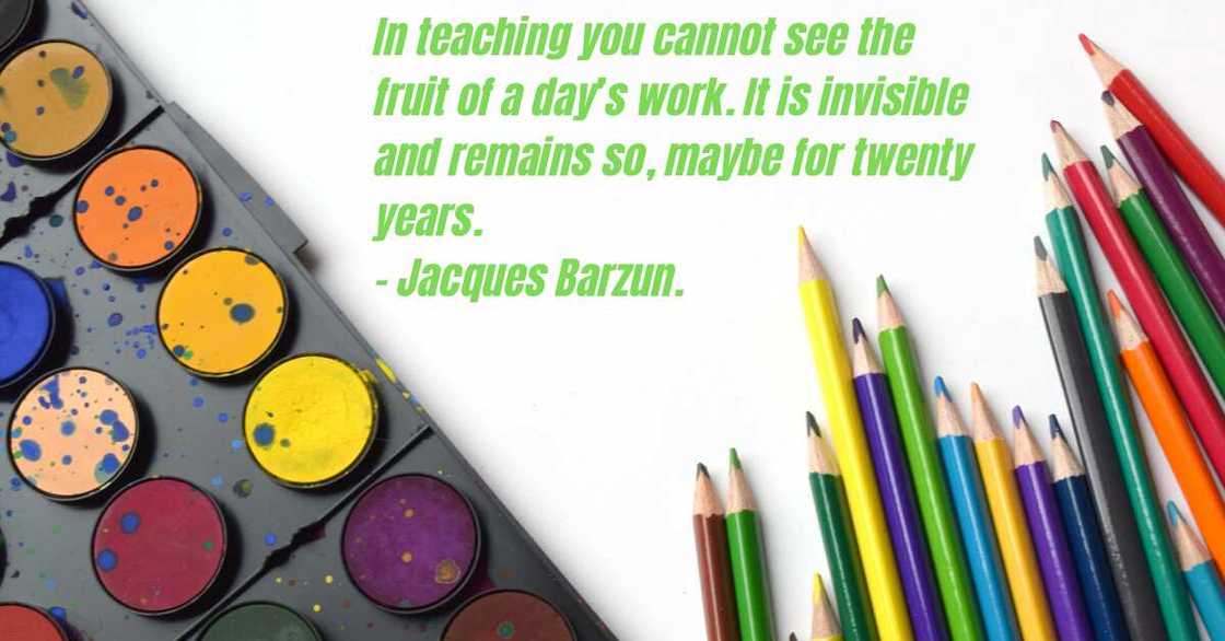 teacher quote teacher quote