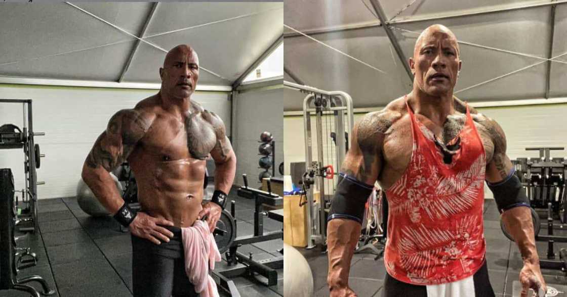 The Rock insisted he will not work with Vin Diesel. The Rock insisted he will not work with Vin Diesel.