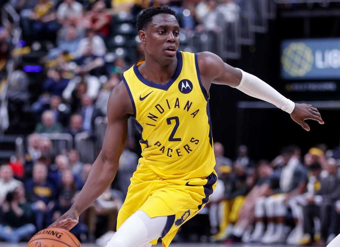 Darren Collison, #2 of the Indiana Pacers, dribbles the ball during the game against the New York Knicks Darren Collison, #2 of the Indiana Pacers, dribbles the ball during the game against the New York Knicks