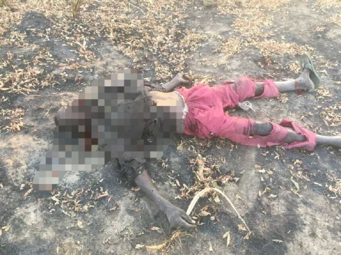 Hotunan 'yan Boko Haram da soji suka kashe, sun damke mai hada bama-bamai a Borno Hotunan 'yan Boko Haram da soji suka kashe, sun damke mai hada bama-bamai a Borno