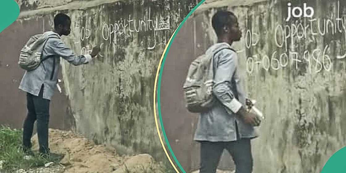 Man shares video of alleged 'unemployed' man seeking for employees Man shares video of alleged 'unemployed' man seeking for employees