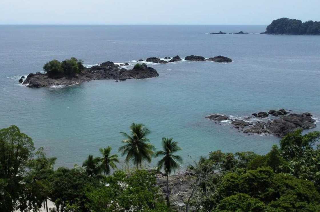 The remote area of the western Choco department boasts a bounty of plant species, while its clear and warm Pacific waters are a breeding ground for humpback whales and turtles The remote area of the western Choco department boasts a bounty of plant species, while its clear and warm Pacific waters are a breeding ground for humpback whales and turtles