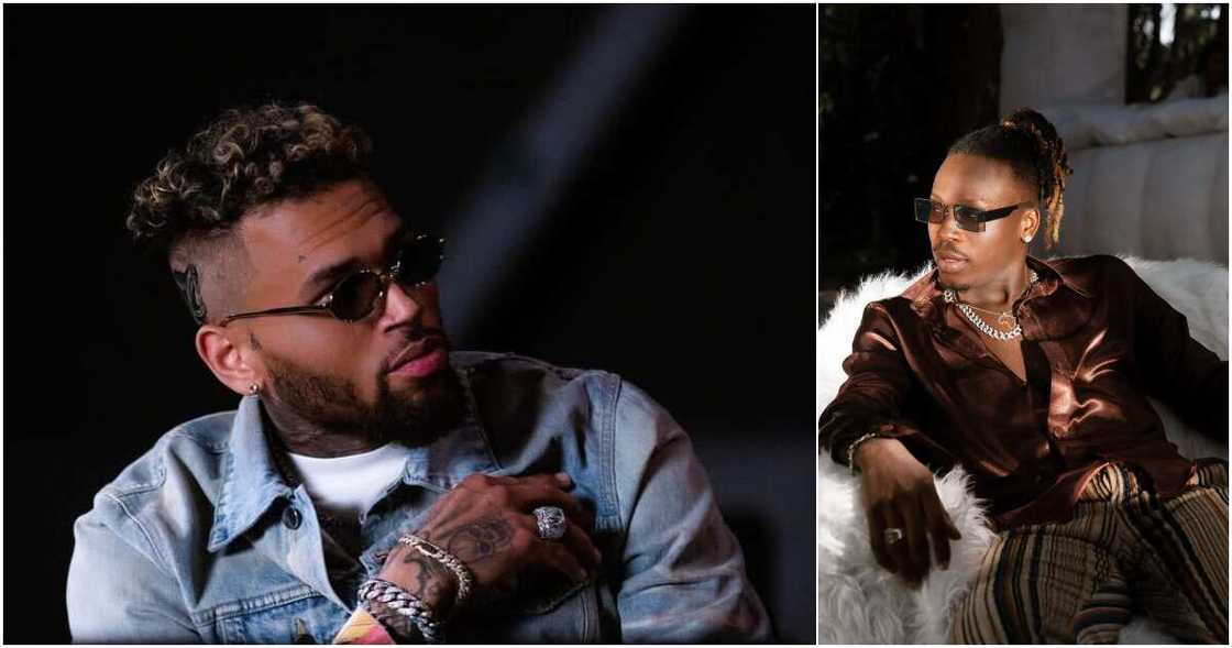 Chris Brown and Fireboy on Playboy Chris Brown and Fireboy on Playboy