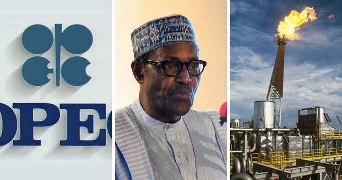 President Buhari President Buhari