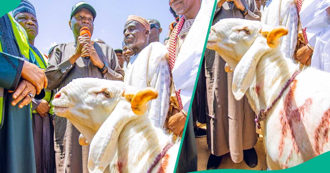 Ragon sallah Ragon sallah