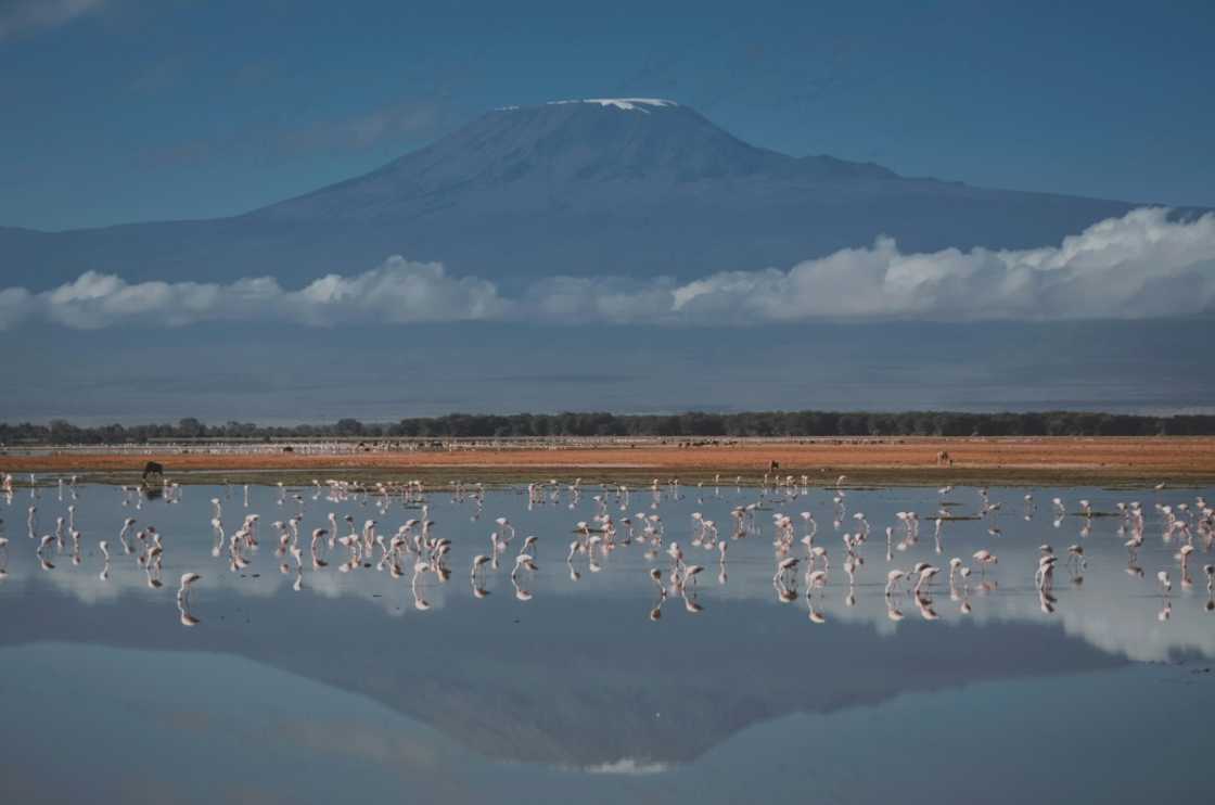 Mount Kilimanjaro and surrounding safari parks have been an increasingly popular draw for Western tourists