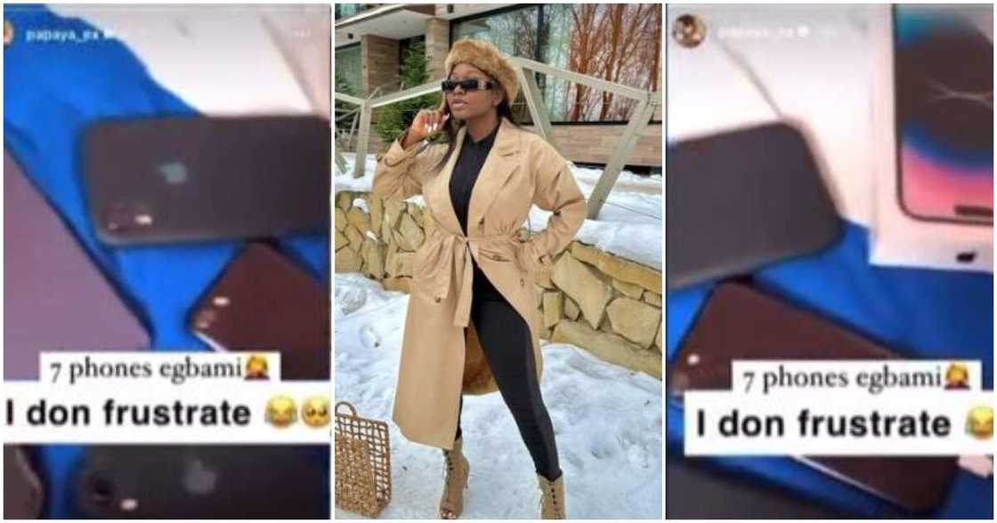 Photos of Papaya Ex Photos of Papaya Ex