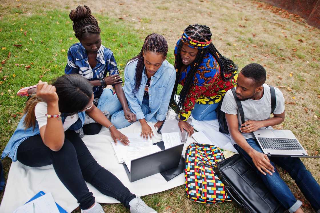 A group of five college students studying with laptops in the university yard