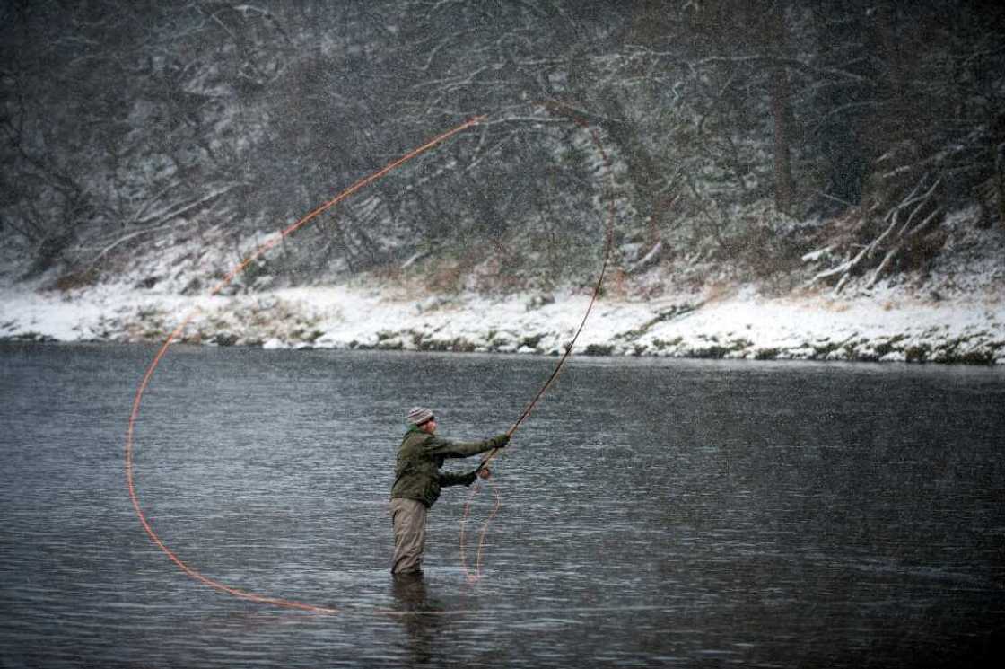 Anglers on the River Spey in the Scottish Highlands say salmon numbers are down compared to 50 years ago Anglers on the River Spey in the Scottish Highlands say salmon numbers are down compared to 50 years ago