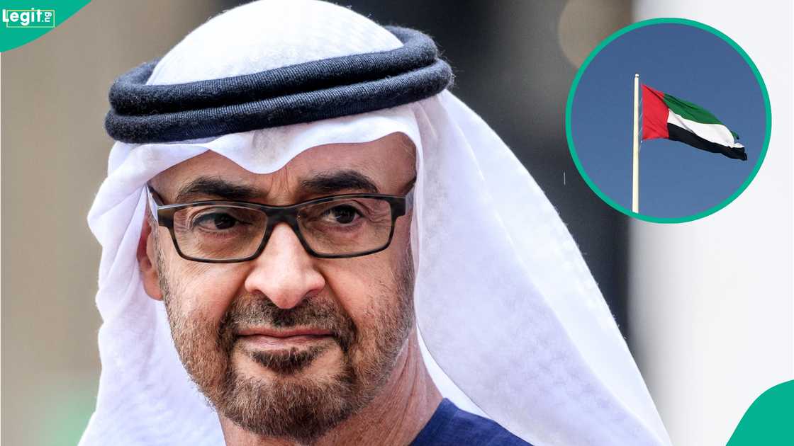 See 6 reasons foreigeners are sent back at border after arrival into UAE See 6 reasons foreigeners are sent back at border after arrival into UAE