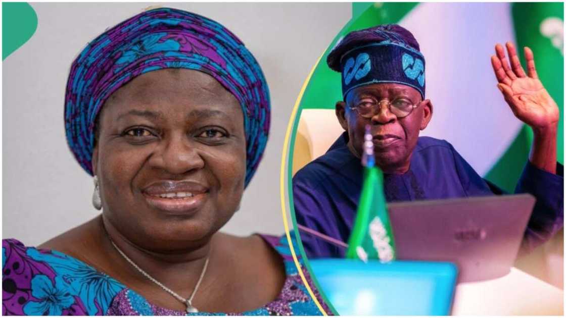 Oluwatoyin Sakirat Madein/Bola Tinubu/Presidency/Betta Edu/EFCC/Accountant General of the Federation/Ministry of Humanitarian Affairs and Poverty Alleviation