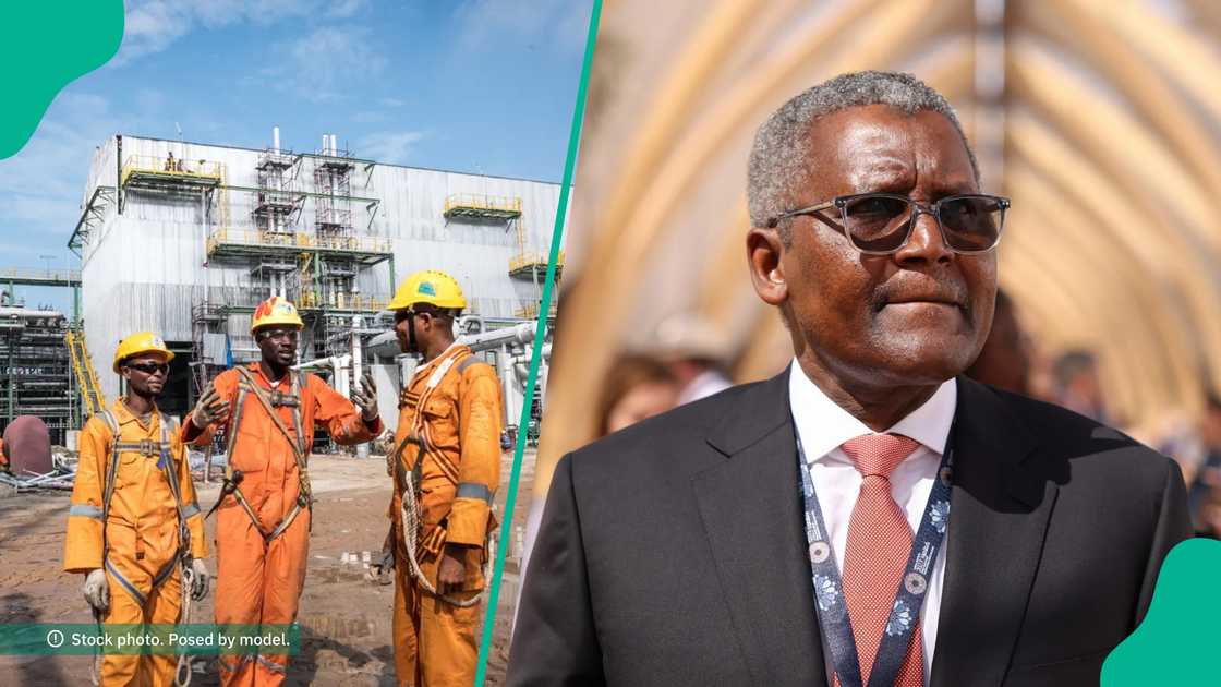 Dangote Group releases promises to workers Dangote Group releases promises to workers